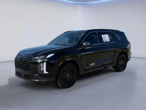 Black 2025 Hyundai Palisade Calligraphy Night Edition for sale in Alcoa, TN
