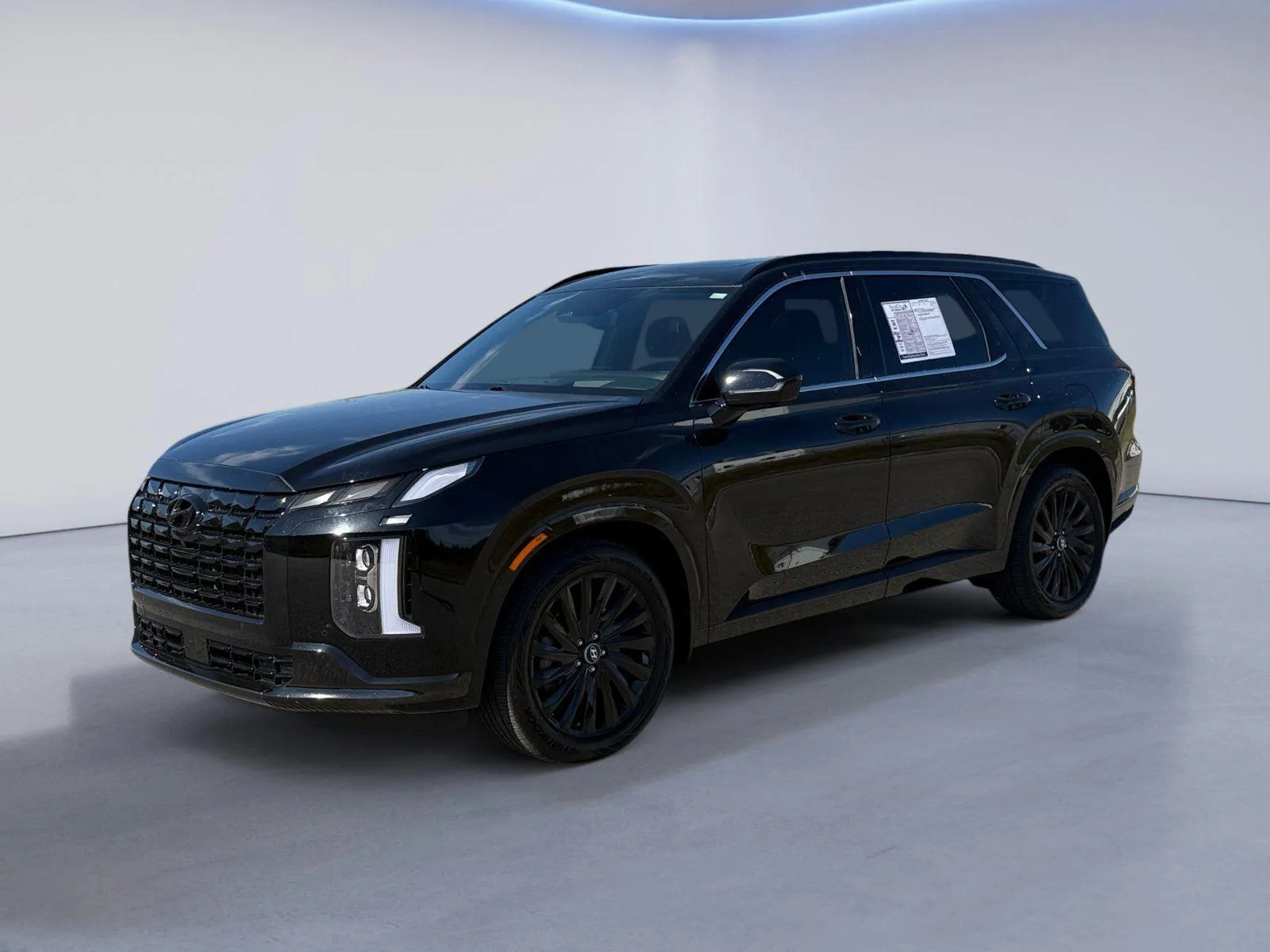 Black 2025 Hyundai Palisade Calligraphy Night Edition for sale in Alcoa, TN