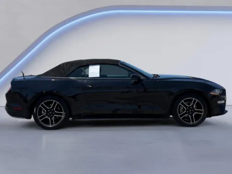 Photos of 2020 Ford Mustang EcoBoost Premium for sale in Alcoa, TN at Twin City Auto Center