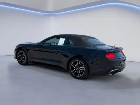 More photos of 2020 Ford Mustang EcoBoost Premium at Twin City Auto Center, TN