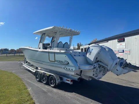 Photos of 2026 Robalo R300 for sale in Charlevoix, MI at Dry Harbour Marine
