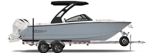 Gray 2027 Robalo R257 Dual Console for sale in Charlevoix, MI
