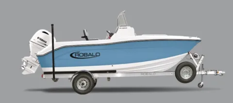 Gray 2027 Robalo R180 for sale in Charlevoix, MI
