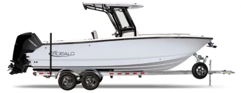 Blue 2027 Robalo R250 for sale in Charlevoix, MI