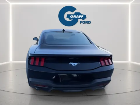 More photos of 2026 Ford Mustang EcoBoost at Graff Ford of Chesterton, IN