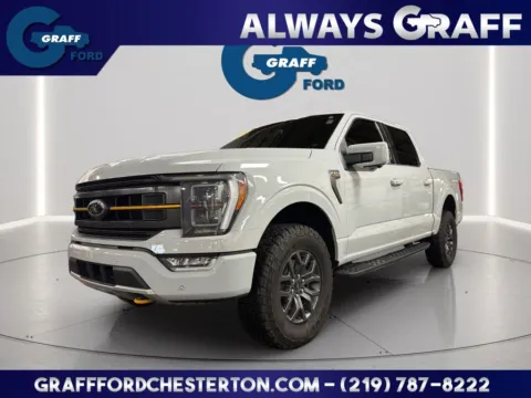 Gray 2023 Ford F-150 Tremor for sale in Chesterton, IN