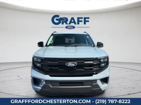 Gray 2027 Ford Expedition Active for sale in Chesterton, IN