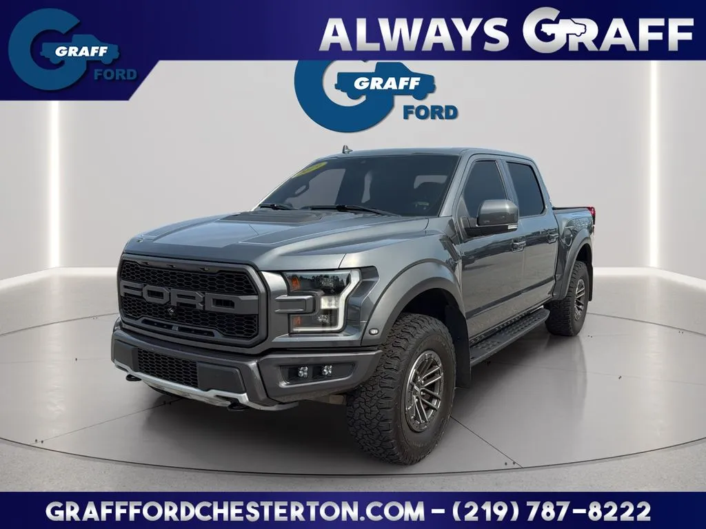 Gray 2019 Ford F-150 Raptor for sale in Chesterton, IN