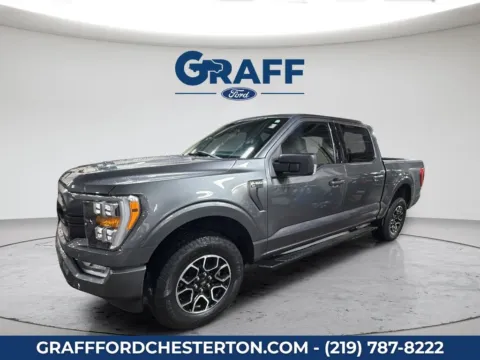 Gray 2023 Ford F-150 XLT for sale in Chesterton, IN