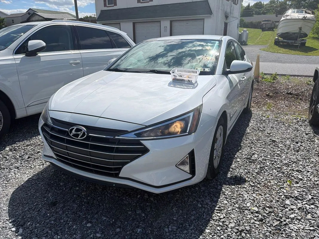 White 2019 Hyundai Elantra SE for sale in Manheim, PA