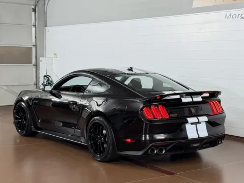 More photos of 2020 Ford Mustang Shelby GT350 Fastback at Morgan Automotive, PA