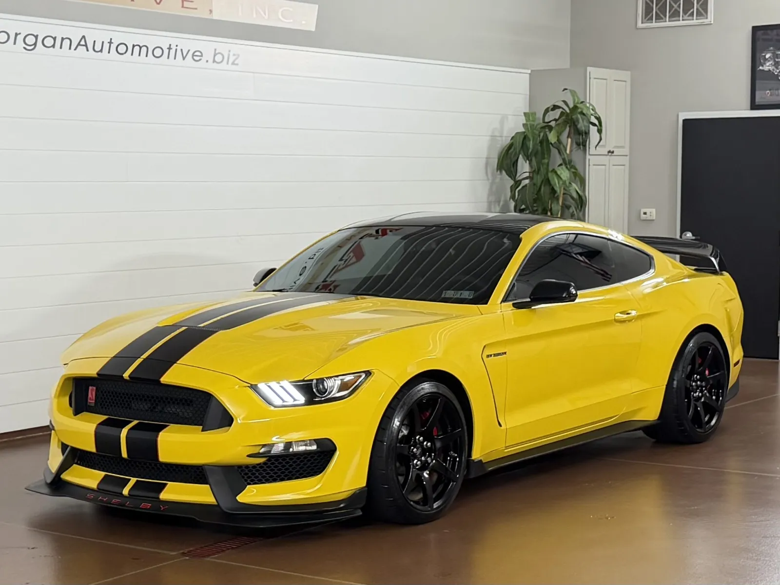 2017 Ford Mustang Shelby GT350 - Photo 7