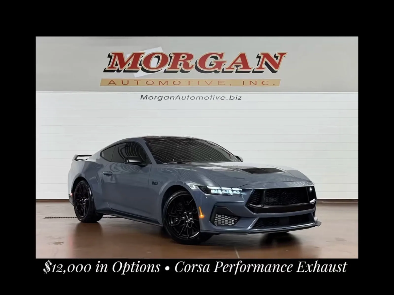 Blue 2024 Ford Mustang GT Premium for sale in Manheim, PA