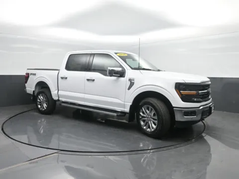 More photos of 2026 Ford F-150 XLT at Mike Molstead Ford, IA