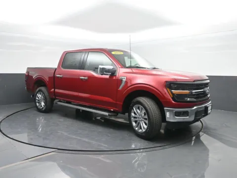 More photos of 2026 Ford F-150 XLT at Mike Molstead Ford, IA
