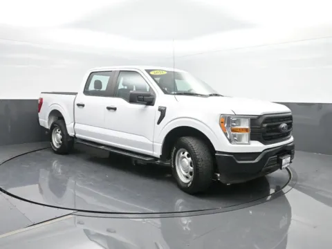 More photos of 2021 FORD F-150 TRUCK at Mike Molstead Chevrolet, GMC, IA