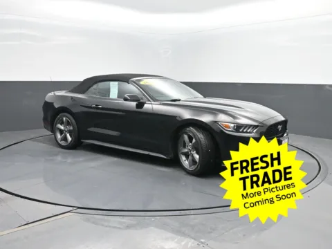 More photos of 2017 Ford Mustang V6 at Mike Molstead Chevrolet, GMC, IA