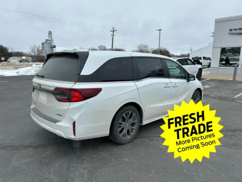 More photos of 2025 Honda Odyssey Touring at Mike Molstead Chevrolet, GMC, IA