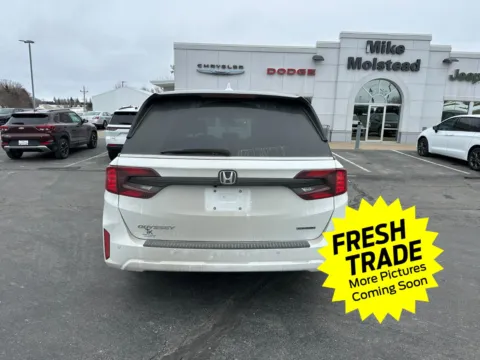 More photos of 2025 Honda Odyssey Touring at Mike Molstead Chevrolet, GMC, IA