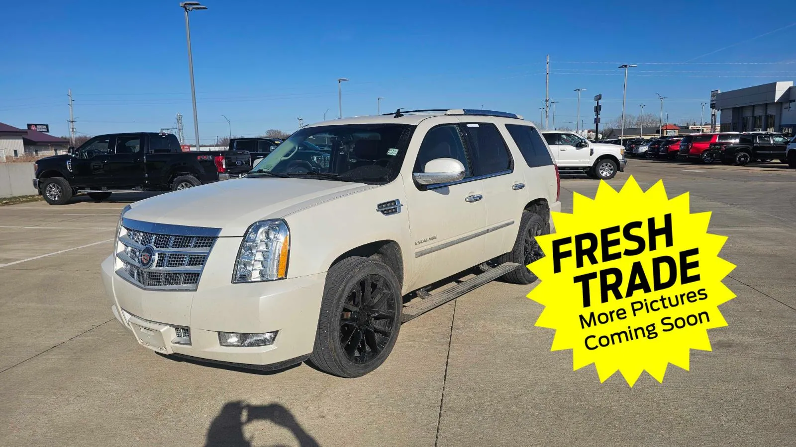 White 2014 Cadillac Escalade Platinum for sale in Charles City, IA