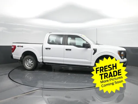 Another view of 2021 Ford F-150 XL for sale in Charles City, IA at Mike Molstead Chevrolet, GMC