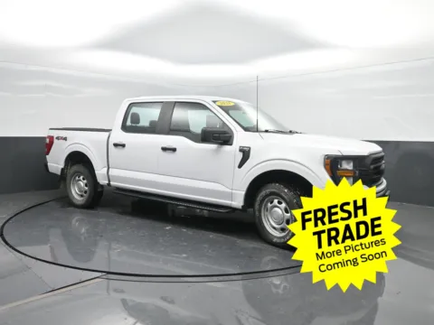 More photos of 2021 Ford F-150 XL at Mike Molstead Chevrolet, GMC, IA