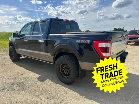 More photos of 2021 FORD F-150 King Ranch at Mike Molstead Chevrolet, GMC, IA