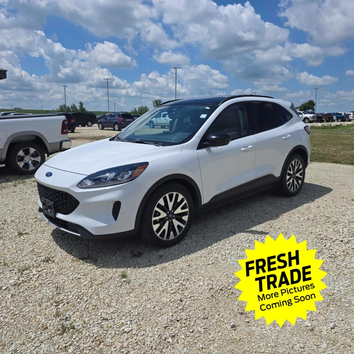 2020 Ford Escape Hybrid SE Sport for sale in Charles City, IA