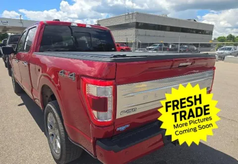More photos of 2023 Ford F-150 Platinum at Mike Molstead Chevrolet, GMC, IA