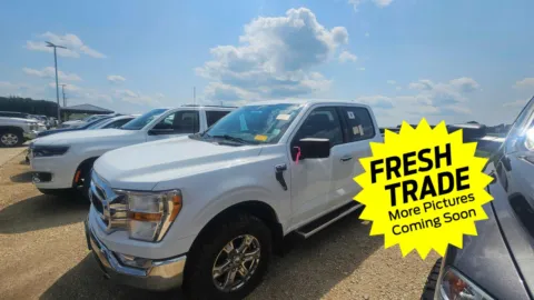 More photos of 2023 Ford F-150 XLT at Mike Molstead Chevrolet, GMC, IA