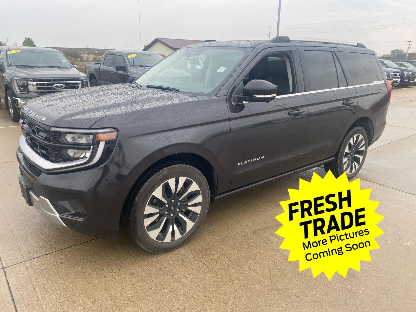Gray 2025 FORD Expedition Platinum for sale in Charles City, IA