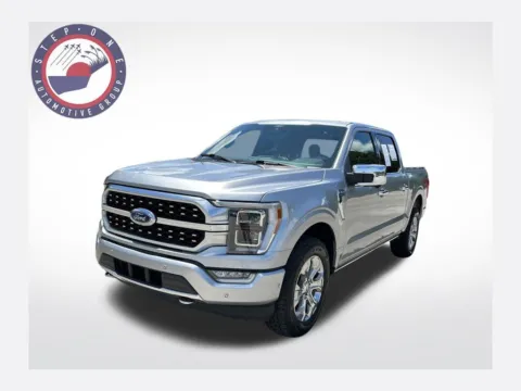 Silver 2021 Ford F-150 Platinum for sale in Pensacola, FL