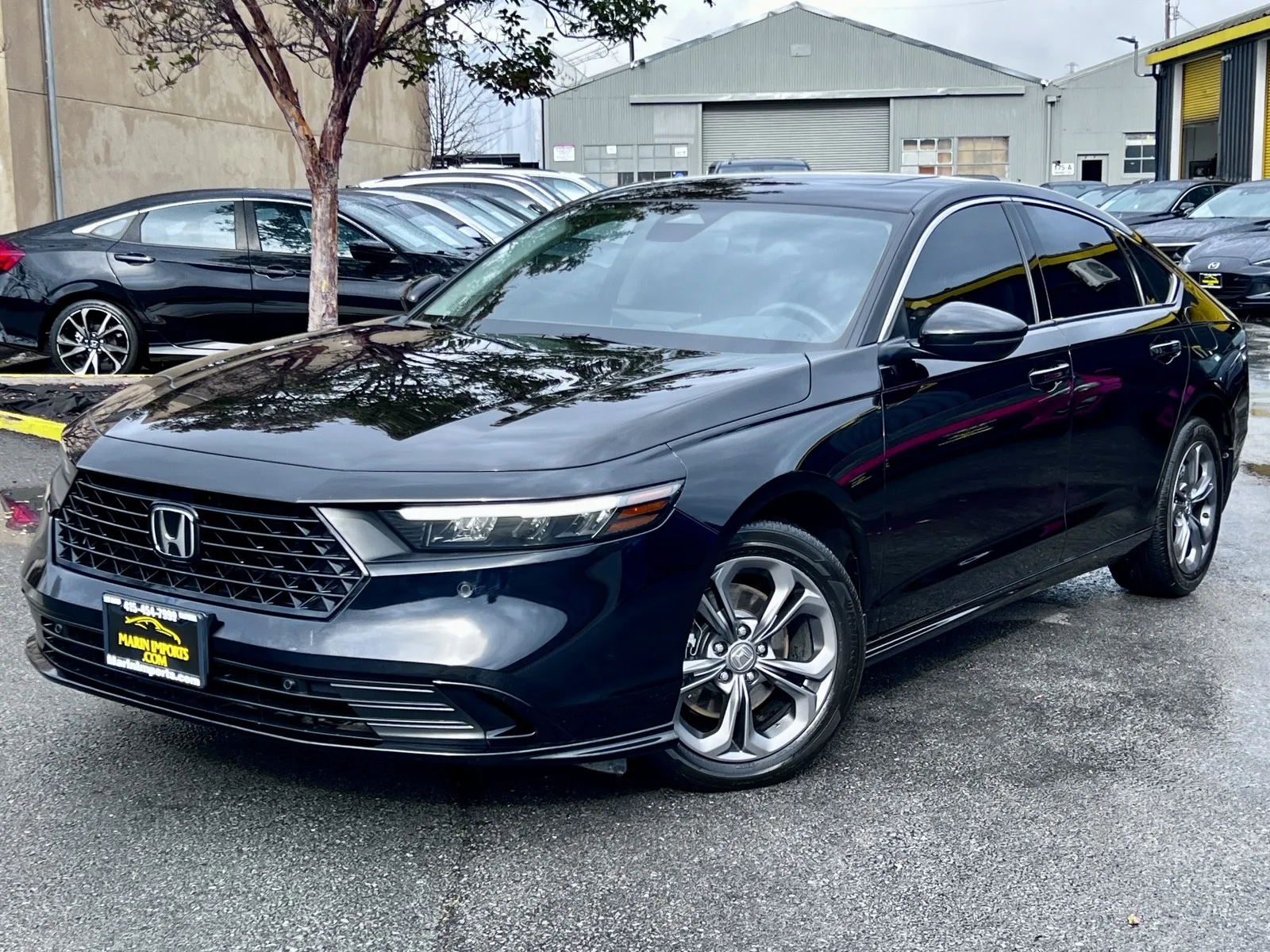 Black 2025 Honda Accord Hybrid EX-L for sale in San Rafael, CA