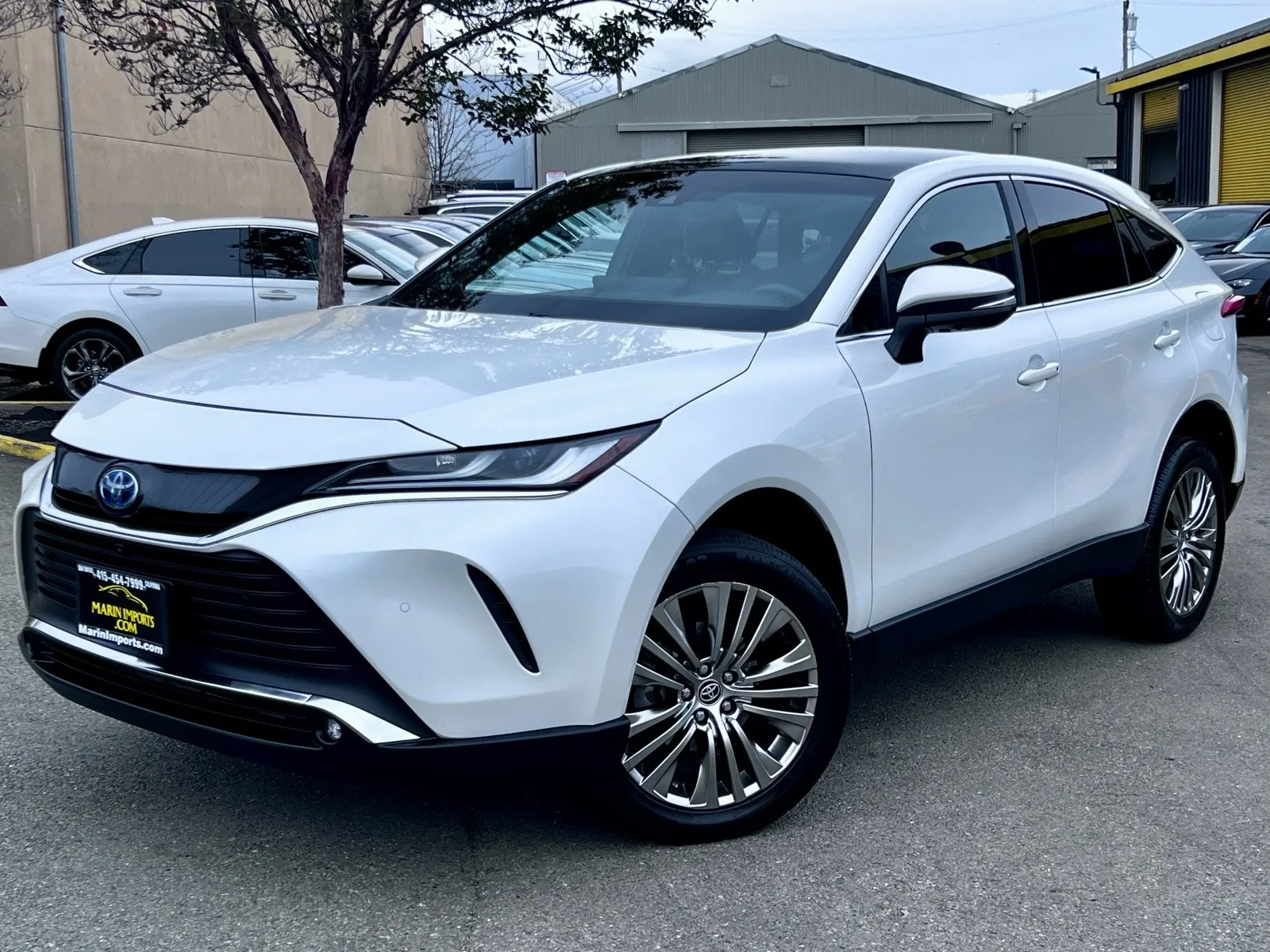 White 2023 Toyota Venza Limited for sale in San Rafael, CA