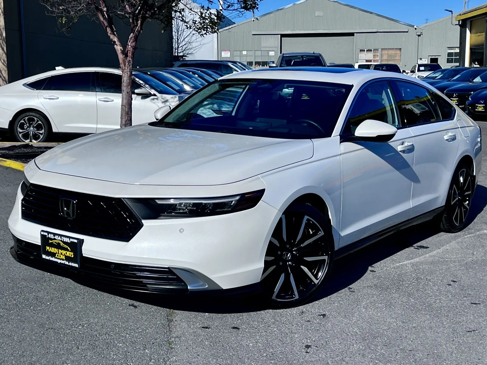 White 2024 Honda Accord Hybrid Touring for sale in San Rafael, CA