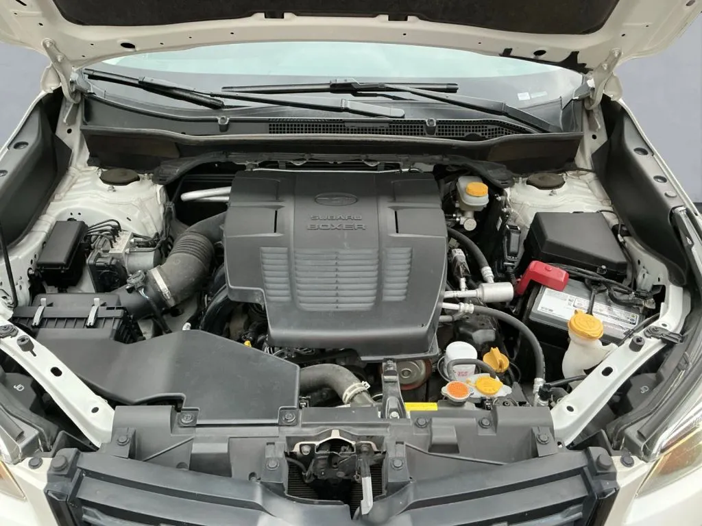 Subaru Forester photo 18
