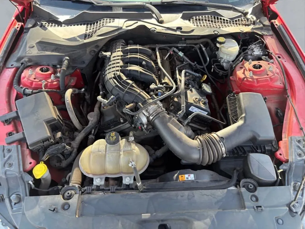 Ford Mustang photo 24