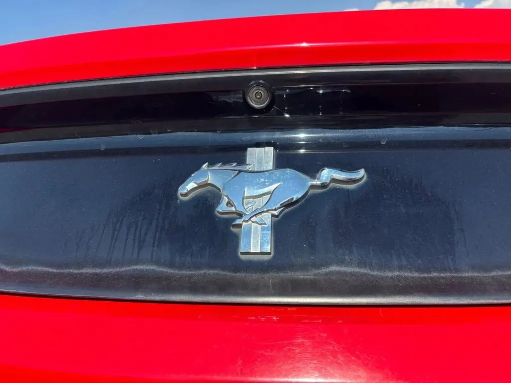 Ford Mustang photo 20