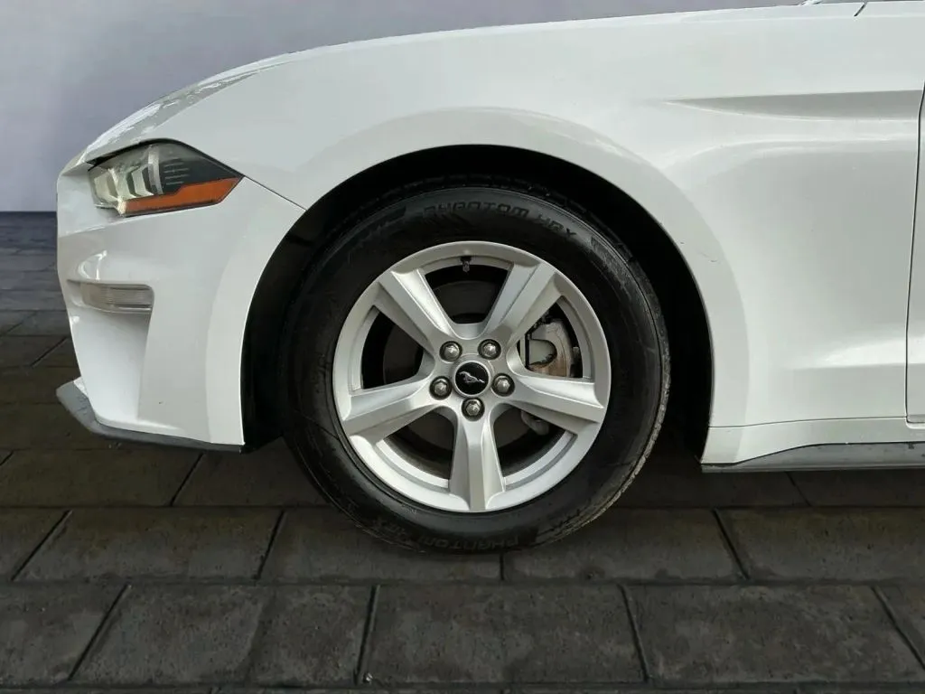 Ford Mustang photo 23