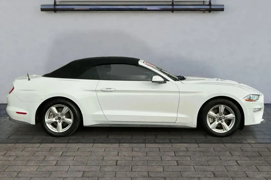 Another view of 2019 Ford Mustang EcoBoost Convertible 2D for sale in Thornton, CO at Drive N-Motion Thornton