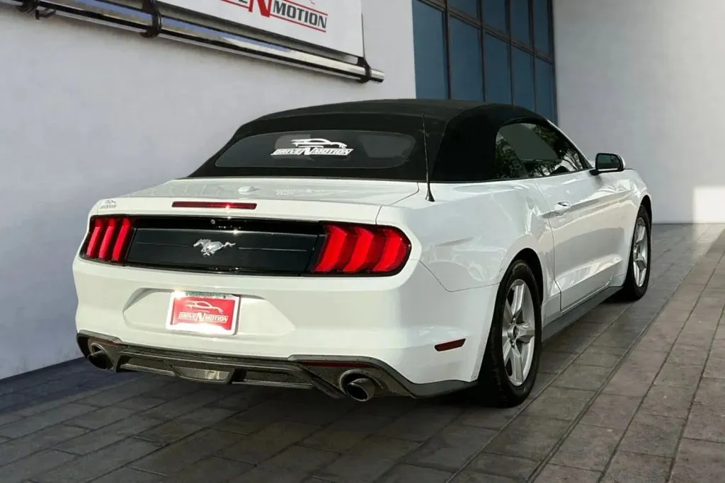 More photos of 2019 Ford Mustang EcoBoost Convertible 2D at Drive N-Motion Thornton, CO
