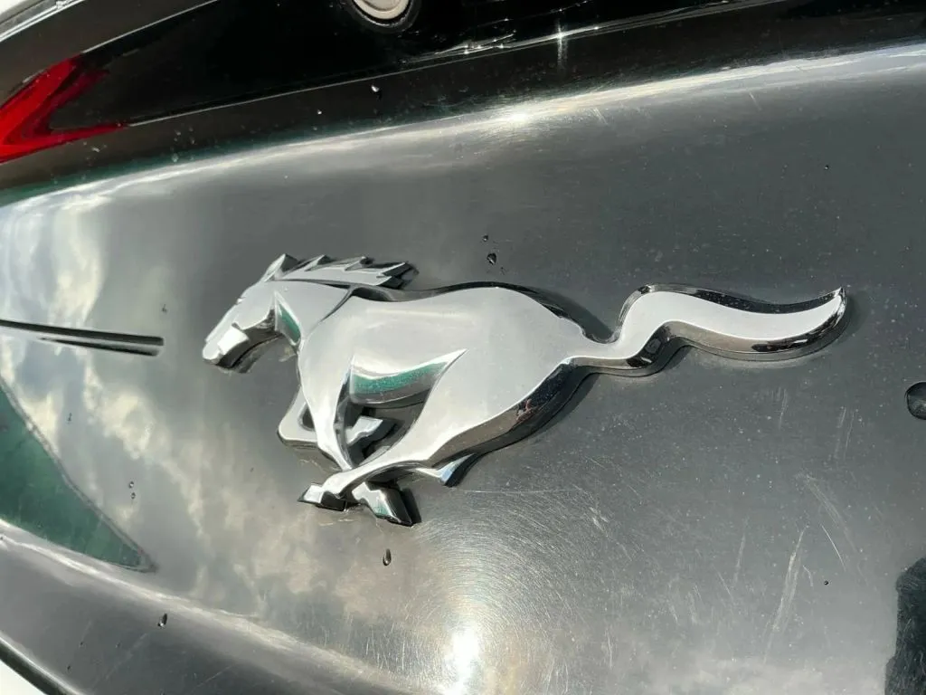 Ford Mustang photo 17