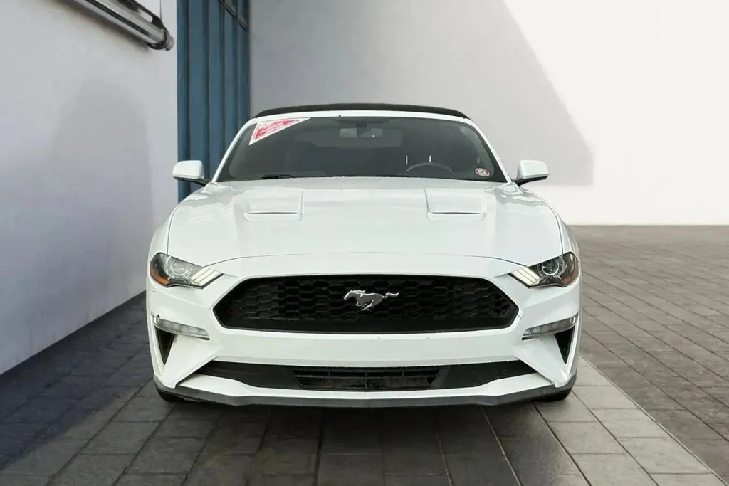 Ford Mustang photo 8