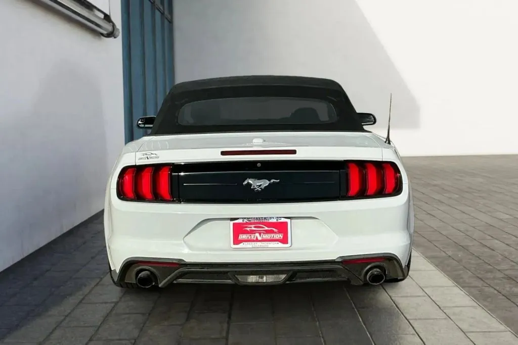More photos of 2019 Ford Mustang EcoBoost Convertible 2D at Drive N-Motion Thornton, CO