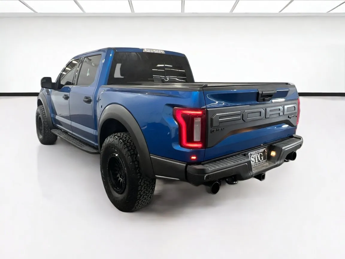 2019 Ford F-150 Raptor - Photo 6