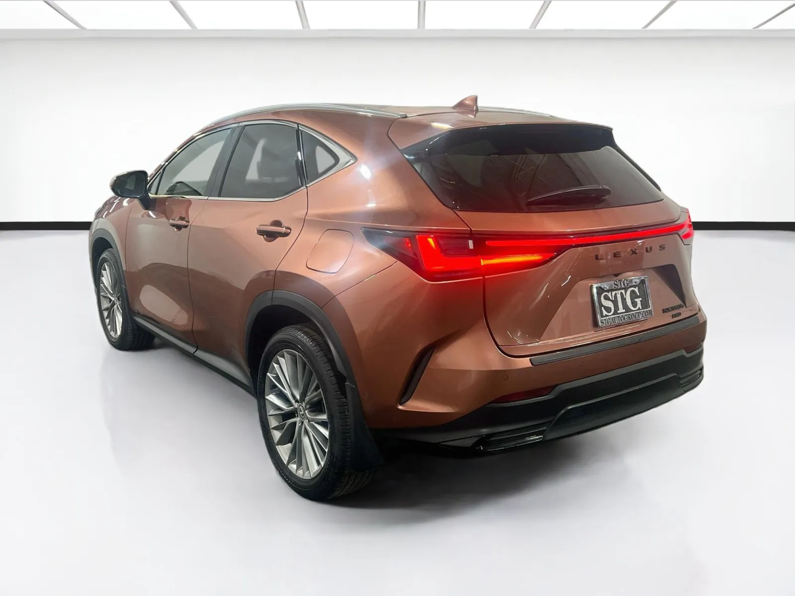 2025 Lexus NX Hybrid 350h - Photo 6