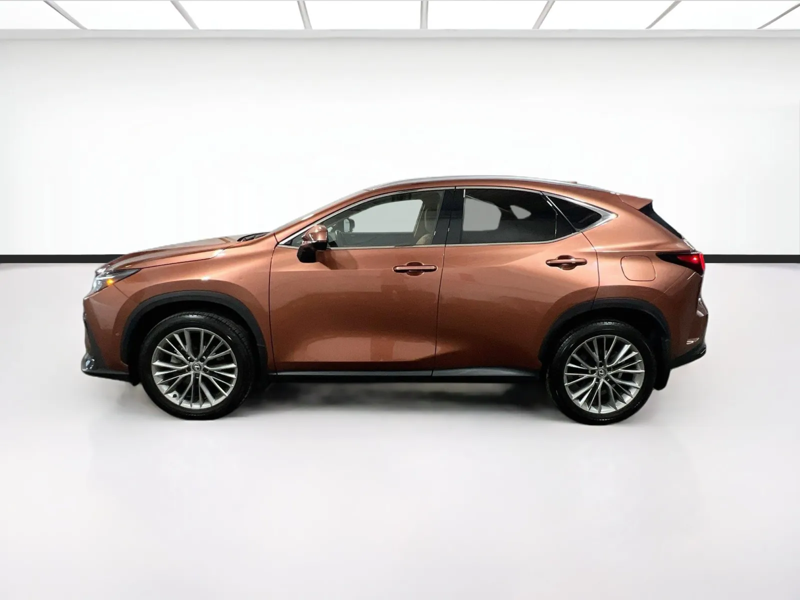 2025 Lexus NX Hybrid 350h - Photo 25