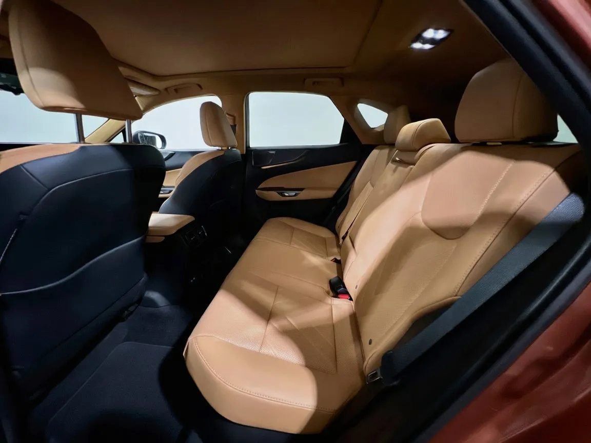 2025 Lexus NX Hybrid 350h - Photo 19
