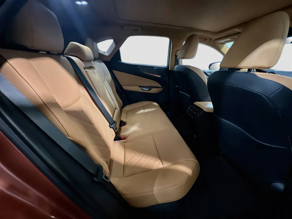 2025 Lexus NX Hybrid 350h - Photo 21