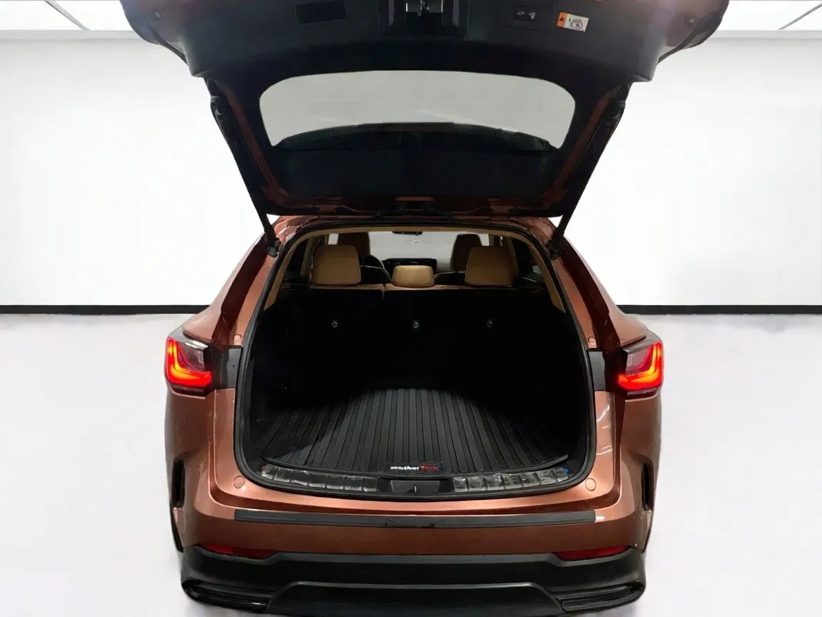 2025 Lexus NX Hybrid 350h - Photo 20